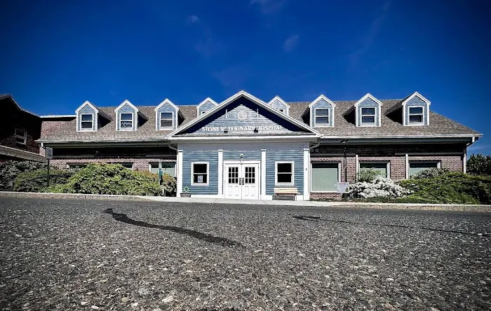 Stone Veterinary Hospital Picture 5