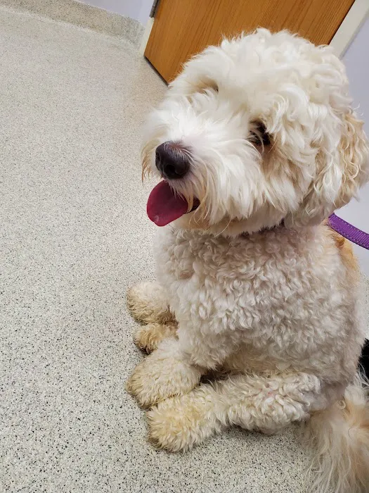 Stone Veterinary Hospital Picture 4