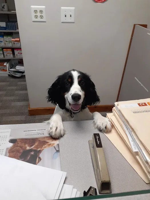 Middlebury Animal Hospital Associates, LLC Picture 1
