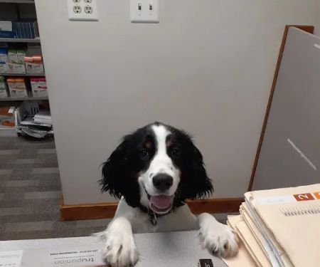 Middlebury Animal Hospital Associates, LLC