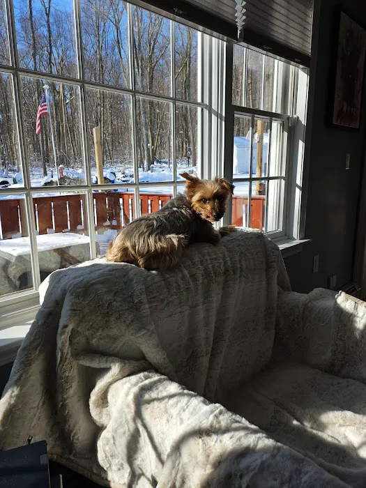 Middlebury Animal Hospital Associates, LLC Picture 8