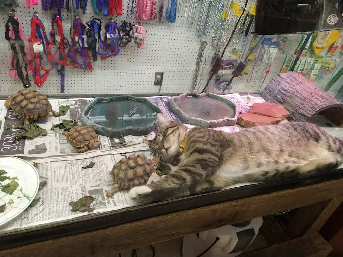 Tony's Pet Food & Supplies Picture 2