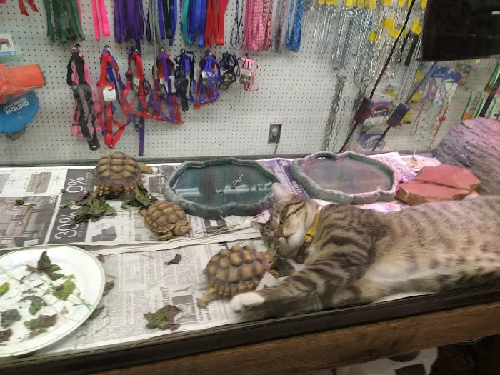 Tony's Pet Food & Supplies Picture 8