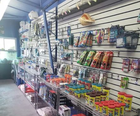 Shillington Aquariums