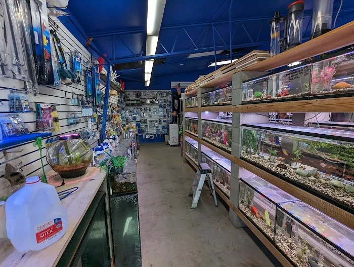 Shillington Aquariums Picture 5