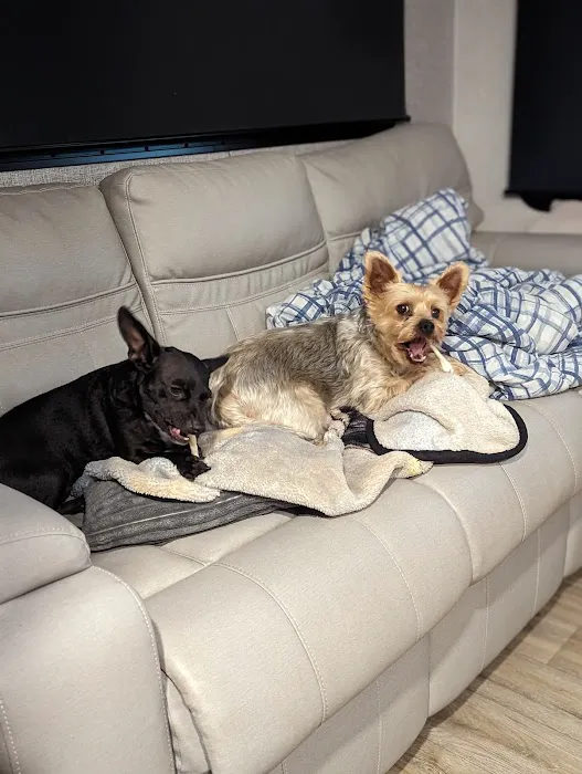 Uptown Pets Picture 9