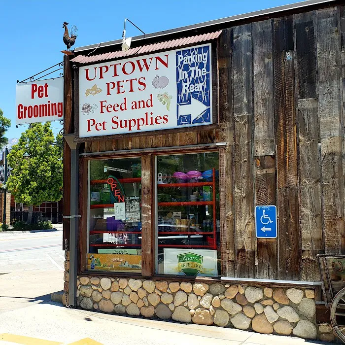 Uptown Pets Picture 10