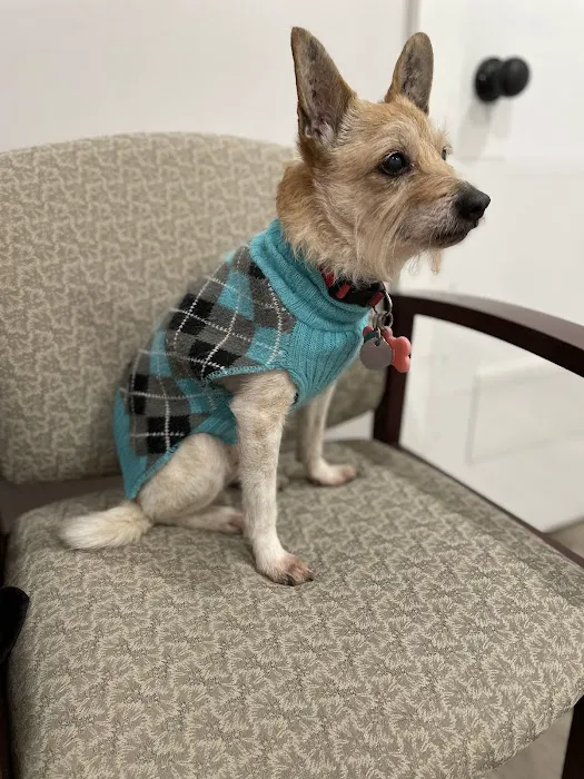Embrace Animal Hospital Picture 10