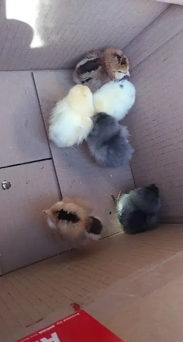 Dan's Feed & Seed Picture 4