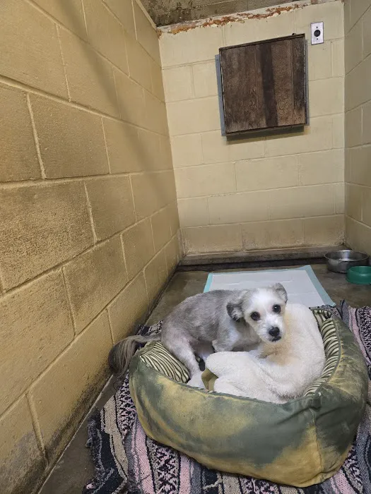 Mattatuck Animal Hospital Picture 6
