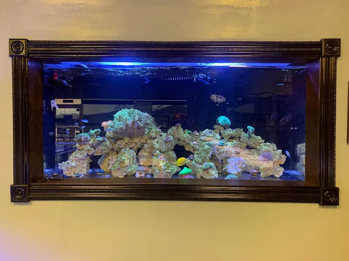 Hammer Aquatics Picture 3