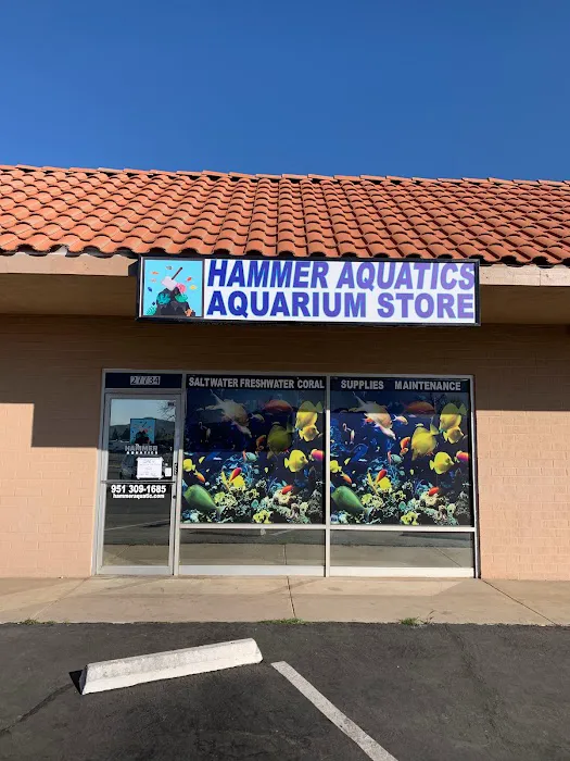 Hammer Aquatics Picture 7