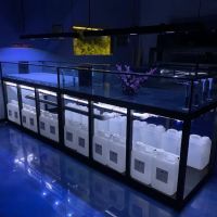 Hammer Aquatics ico