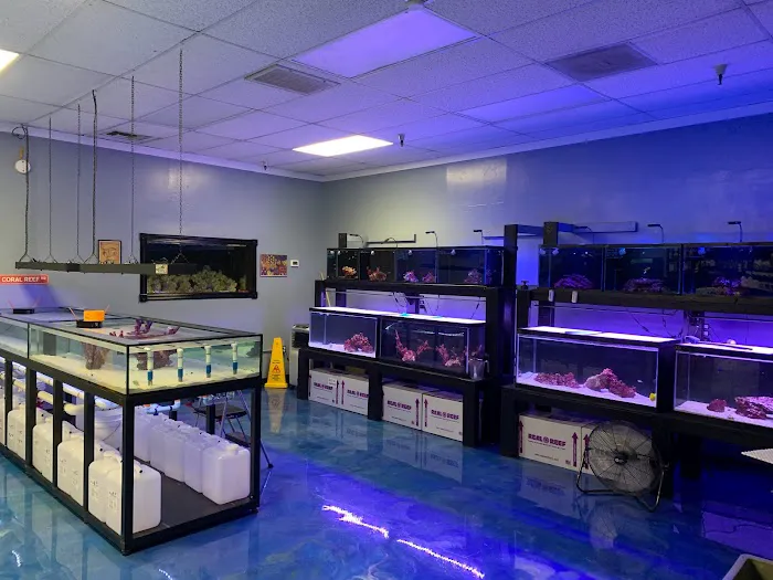 Hammer Aquatics Picture 2