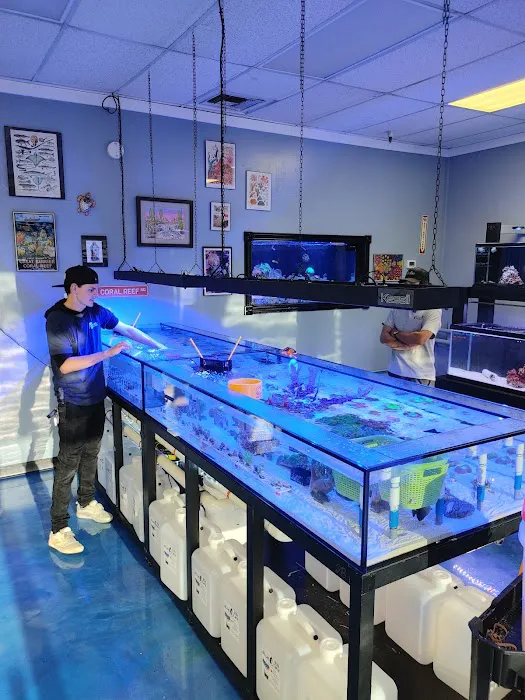Hammer Aquatics Picture 8