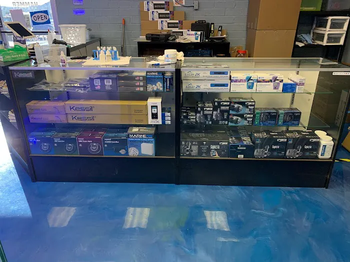 Hammer Aquatics Picture 4