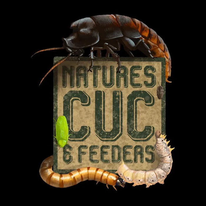 Nature's CUC and Feeders Picture 5