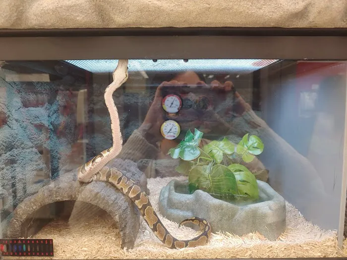 Petco Picture 1