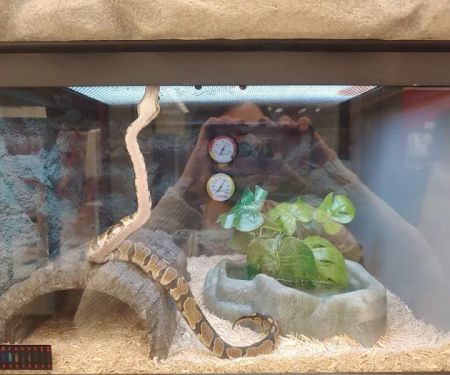 Petco