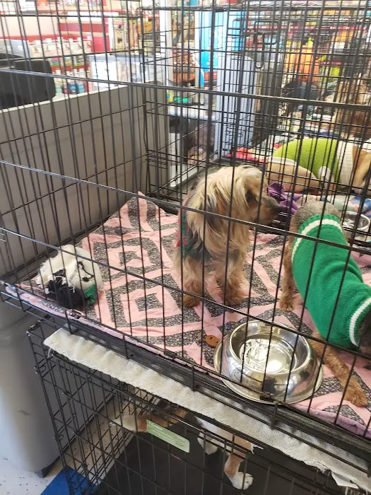 Petco Picture 8