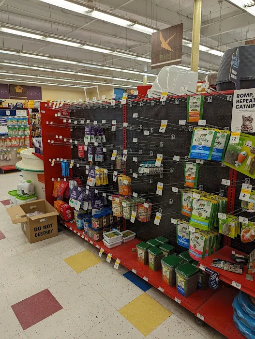 Petco Picture 3