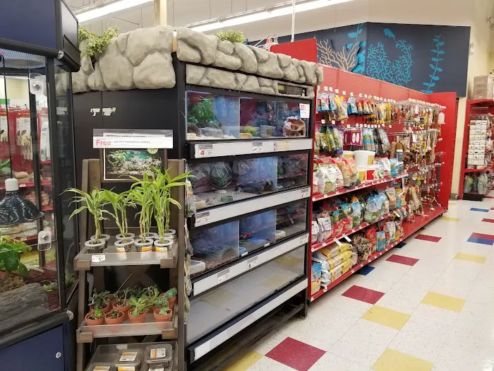 Petco Picture 5