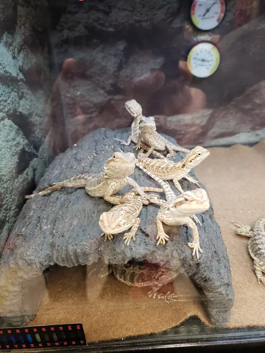 Petco Picture 6