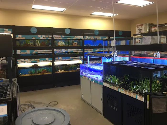 Petco Picture 2