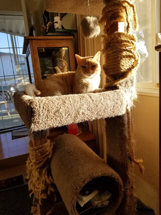 Petco Picture 10