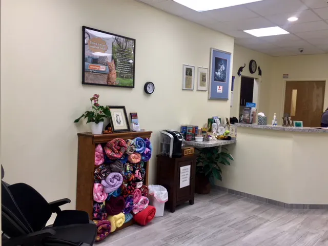 Cat's Corner Veterinary Hospital Picture 4
