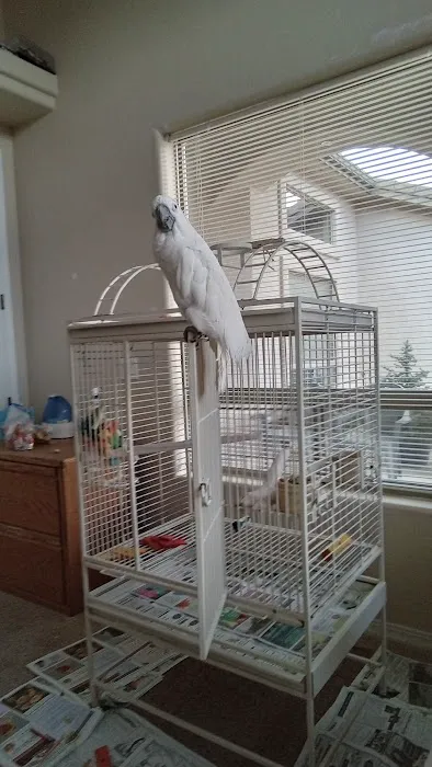 California Bird Nerds Picture 1