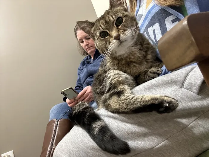 Evergreen Veterinary Clinic Picture 6