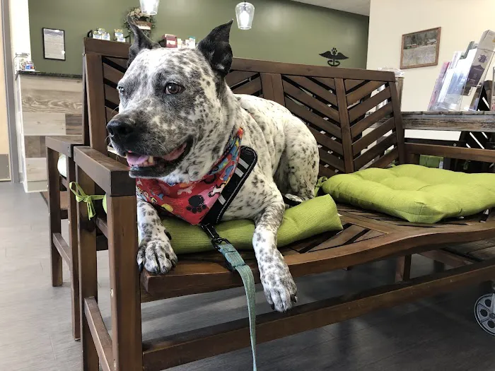 Evergreen Veterinary Clinic Picture 9