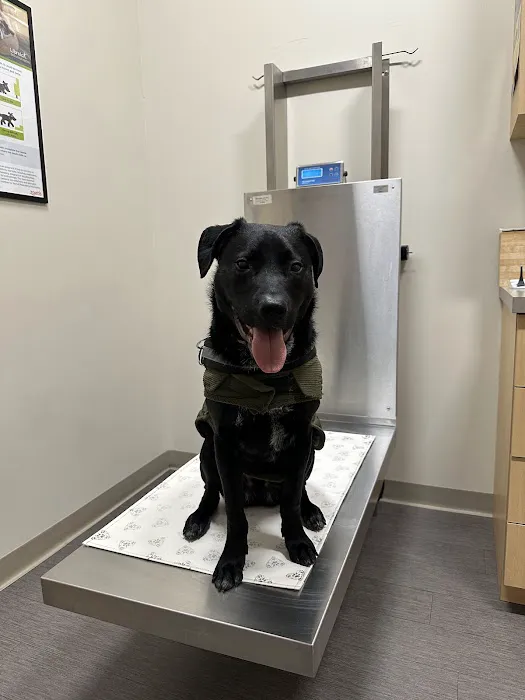 Evergreen Veterinary Clinic Picture 7