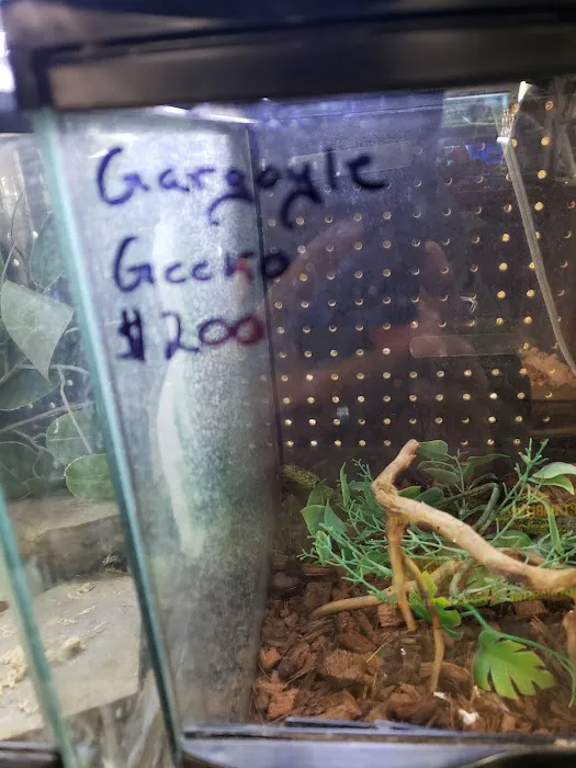 Tails2Scales Pet Shop Picture 2