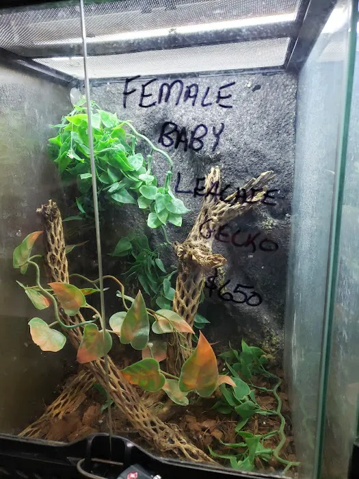 Tails2Scales Pet Shop Picture 7