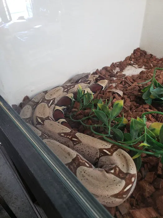 Tails2Scales Pet Shop Picture 1