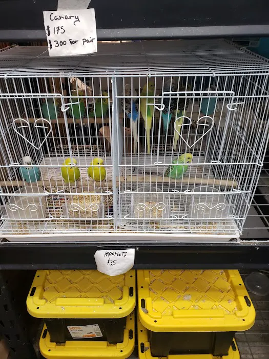 Tails2Scales Pet Shop Picture 5