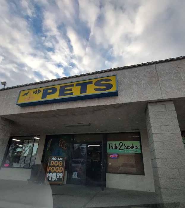 Tails2Scales Pet Shop Picture 6