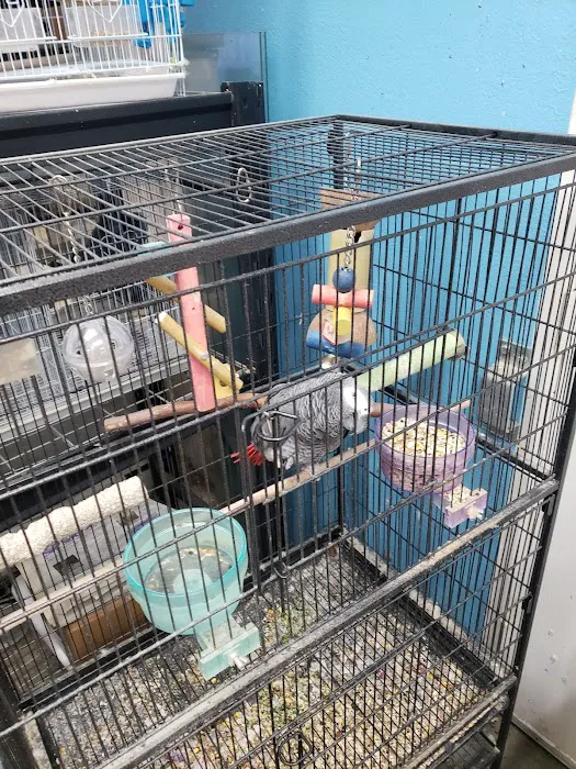 Tails2Scales Pet Shop Picture 9