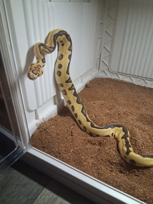 Tails2Scales Pet Shop Picture 3