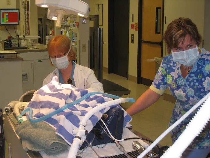 Old Dominion Animal Health Center Picture 6