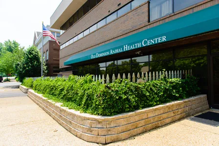 Old Dominion Animal Health Center Picture 1