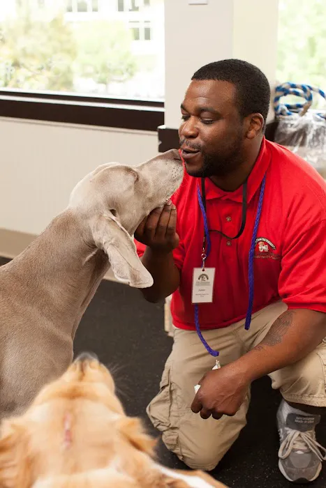 Old Dominion Animal Health Center Picture 3