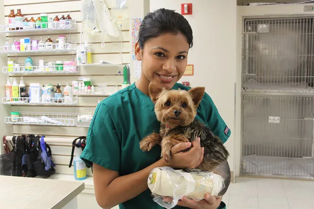 Old Dominion Animal Health Center Picture 4