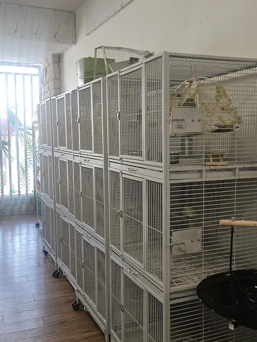 Midway Feed & Pet Store Picture 5