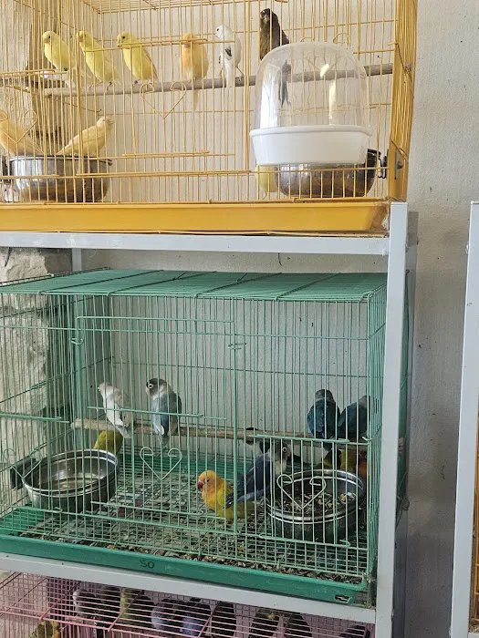 Midway Feed & Pet Store Picture 7