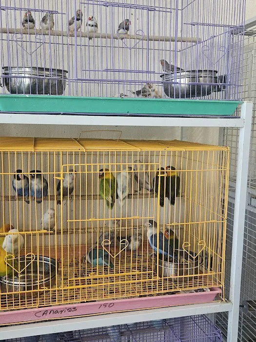 Midway Feed & Pet Store Picture 8