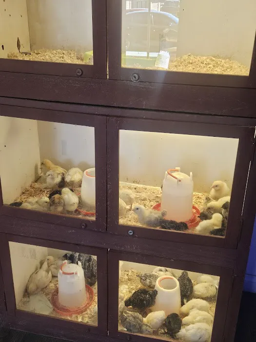 Midway Feed & Pet Store Picture 3
