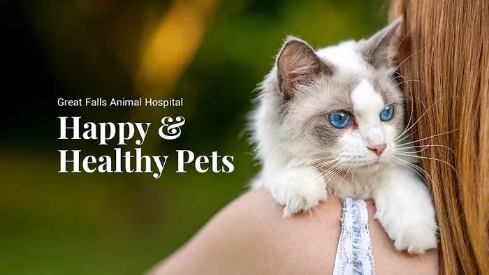 Great Falls Animal Hospital Picture 2